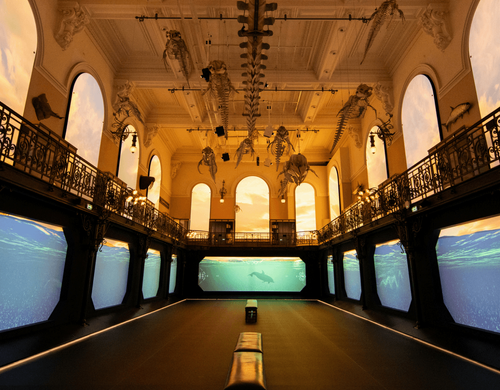 Immersive Aquarium Reception Hall for Cocktail Events