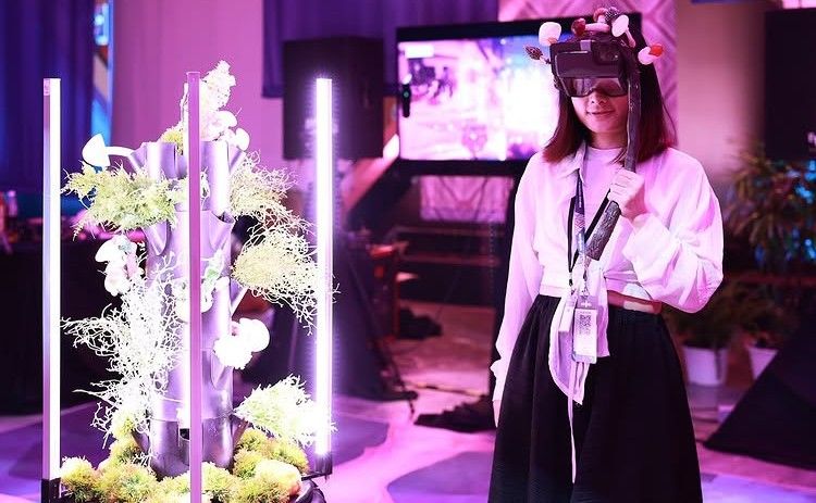 Essential Tips for First-Time Attendees of DevConnect in Buenos Aires