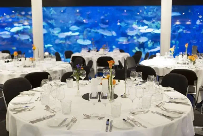 An executive event space in Copenhagen with an aquarium.webp