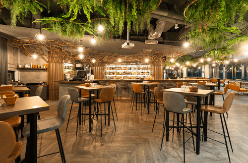 Colourful Garden Oasis Ideal for Creative Gatherings and Celebrations