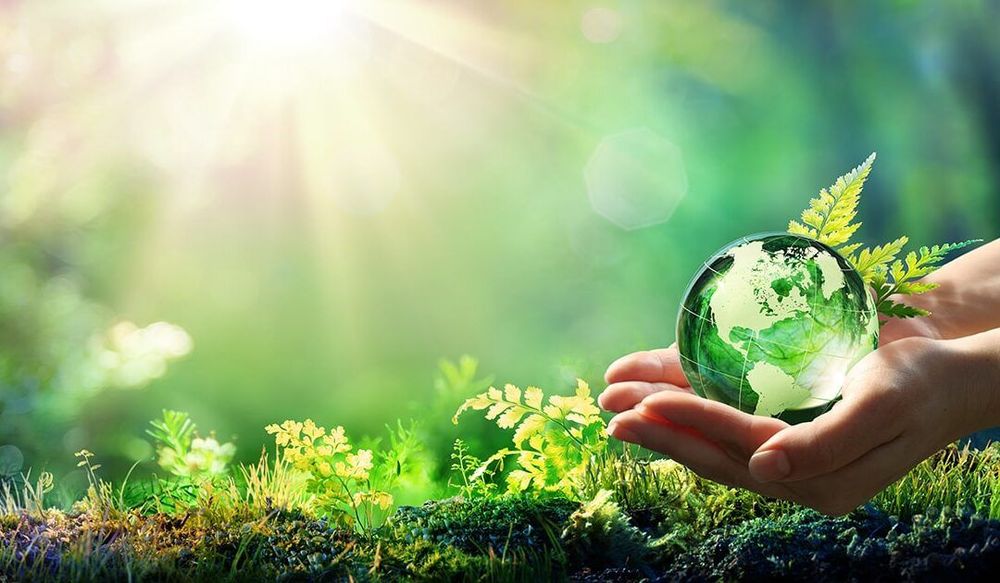 Sustainable and Eco-Friendly Tips for Hosting Year-End Events