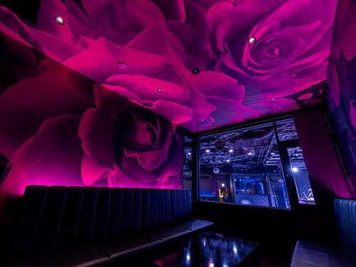 High-End Private Suites With Signature Style and Plush Comfort for VIP Gatherings