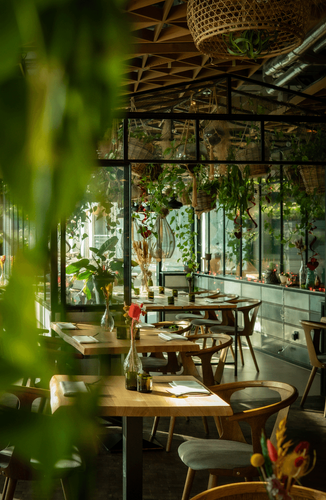 Rustic Dining Space With Lush Greenery for Company Lunches and Dinners