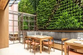 Skylit Private Dining Room With Lush Green Wall and Wooden Elegance for Private Business Meals 