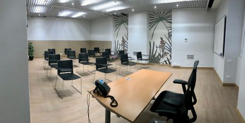 Modern Training Room With Botanical Accents for Productive Business Sessions
