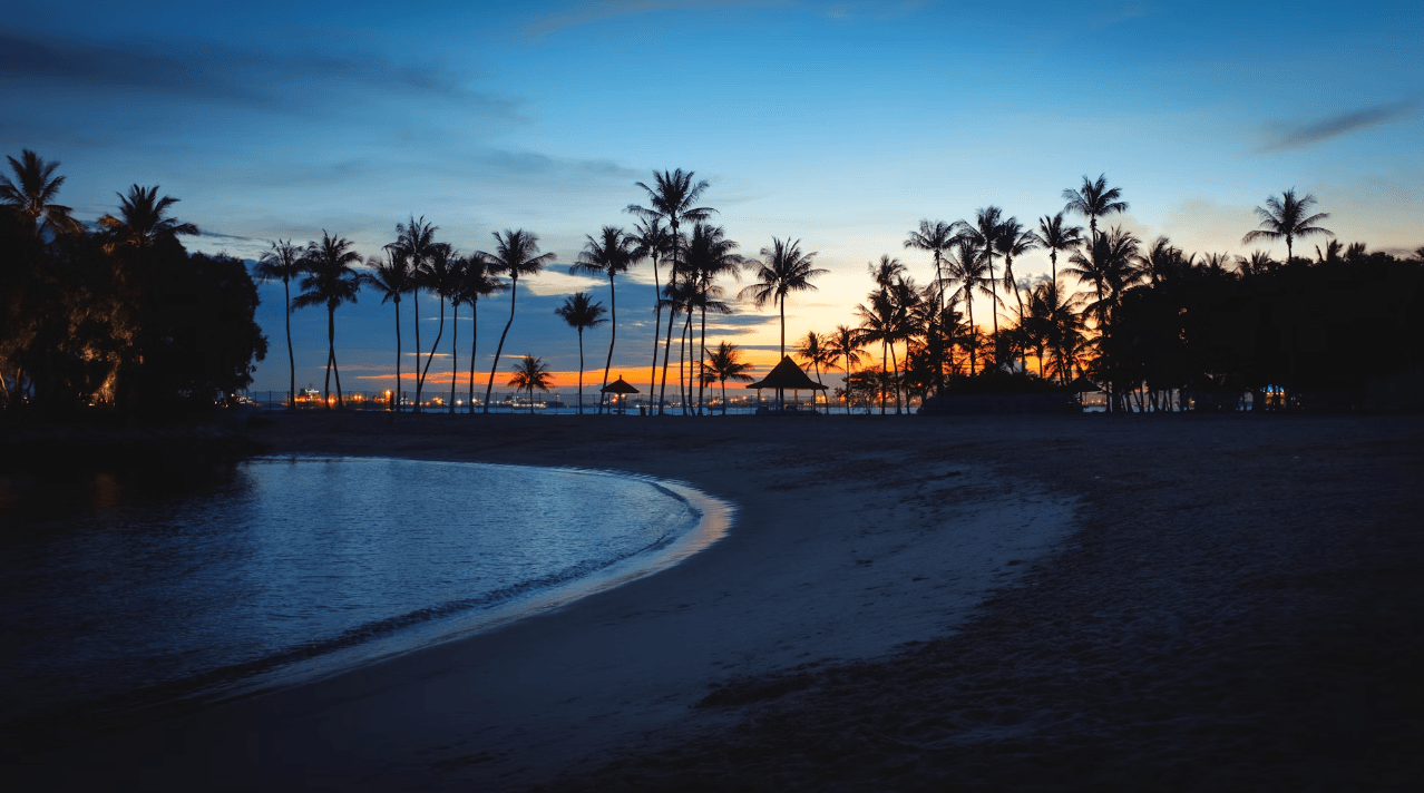 Sentosa Island - A tropical haven for a Token2049 side-event via Unsplash.png