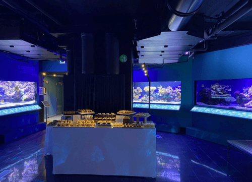 Aquarium Lounge With Immersive Marine Backdrop for Receptions