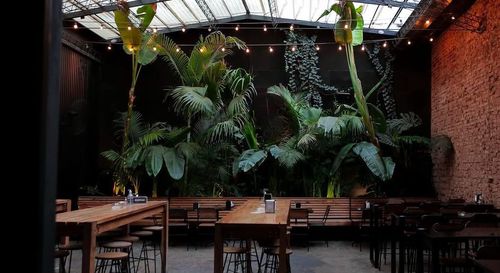 Theatre-Infused Bar With Argentine Cocktails and a Vibrant Nightlife